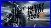 Harley_Davidson_Fatboy_2025_Review_The_Ultimate_Cruiser_Experience_01_puwn